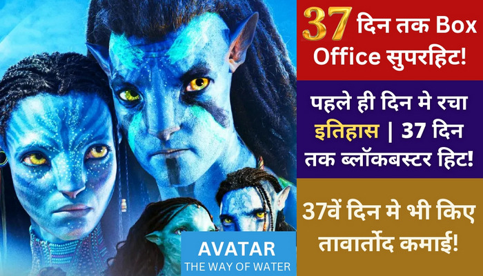 Avatar 2 Day 37 Box Office Collection