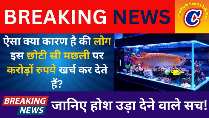 Why do people spend crores of rupees on such small fish